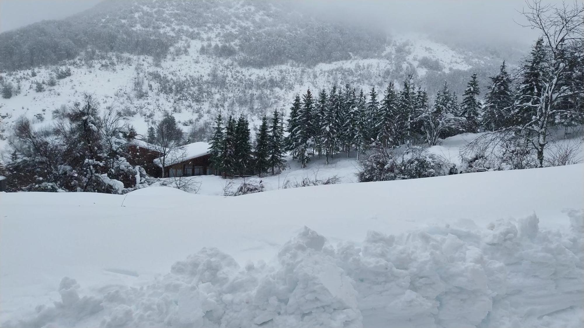 Novak Apartment Mavrovo Eksteriør bilde